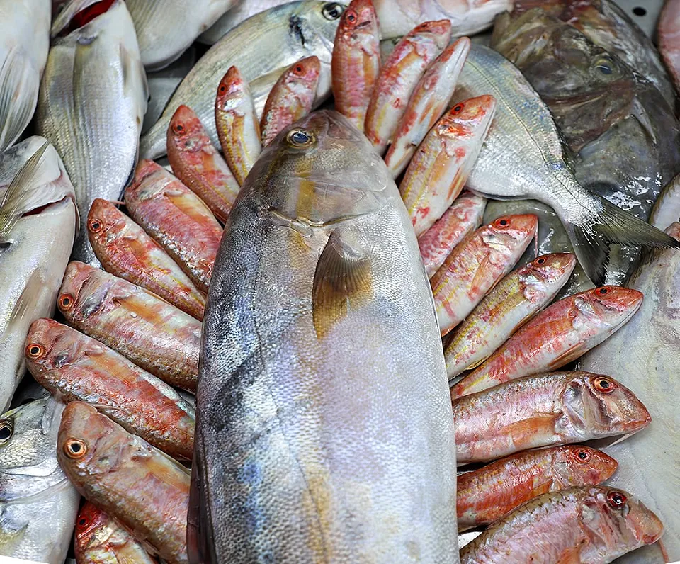 Close-up from the fish counter of a large silver fish surrounded by small reddish fish